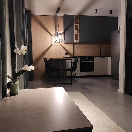 New Loft Style 公寓 *
