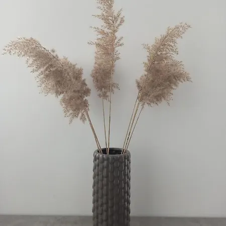 New Loft Style شقة *